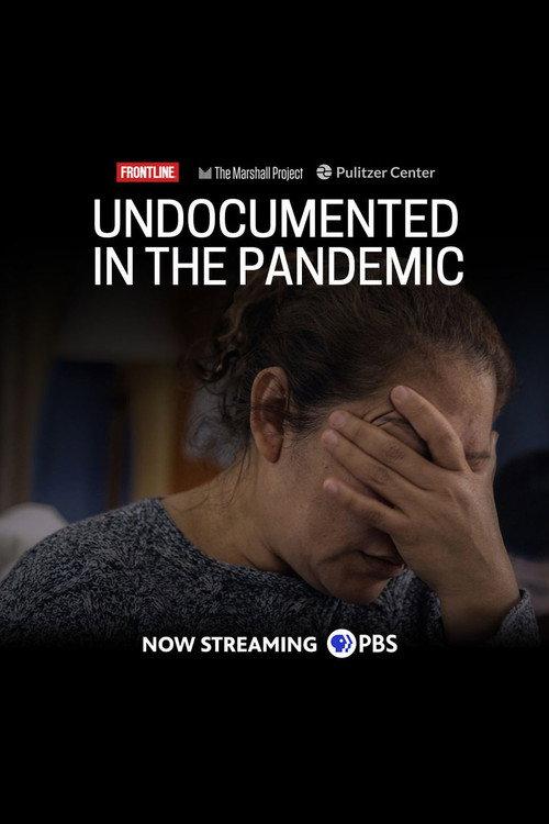 Undocumented in the Pandemic 2020 official movie poster