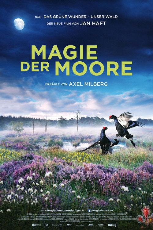Magie der Moore 2015 official movie poster