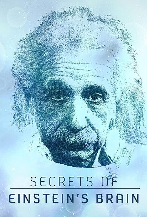 Secrets of Einstein's Brain 2015 official movie poster