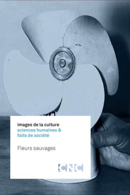 Fleurs sauvages 2016 official movie poster