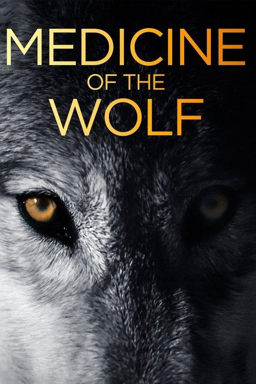 Medicine of the Wolf 2015 official movie poster