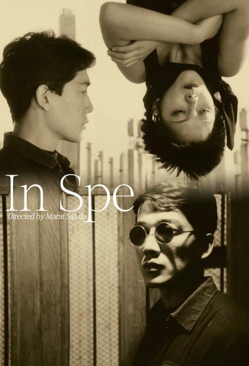 In Hope 1993 official movie poster