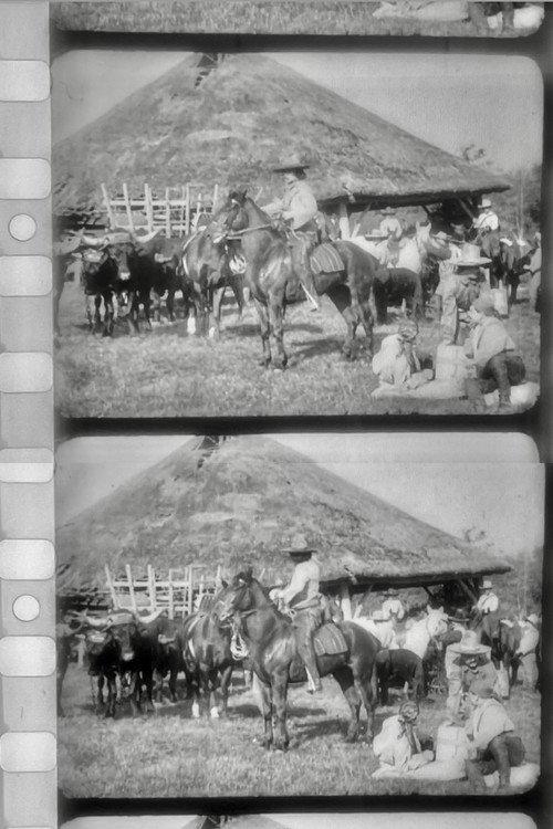 Les Apaches du Far-West 1907 official movie poster