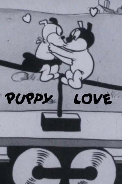 Puppy Love 1928 official movie poster