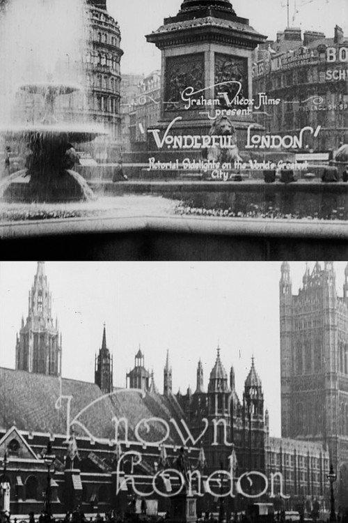 Wonderful London: Known London 1924 official movie poster