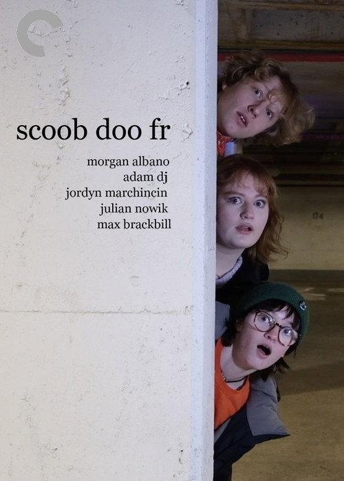 scoob doo fr  official movie poster