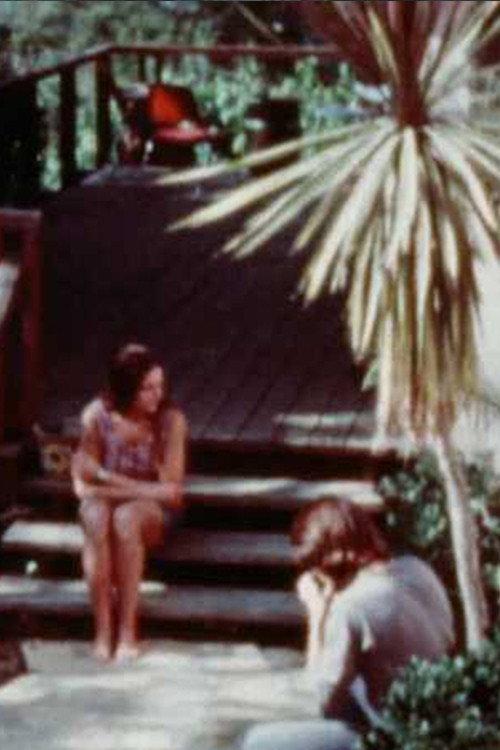 Notes on Bob and Nancy 1977 official movie poster