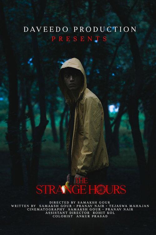 The Strange Hours 2026 official movie poster