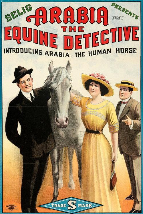 Arabia: The Equine Detective 1913 official movie poster
