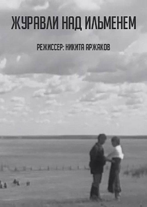 Cranes over Ilmen 2005 official movie poster