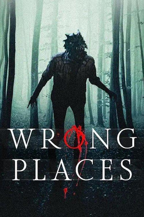 Wrong Places 2024 official movie poster