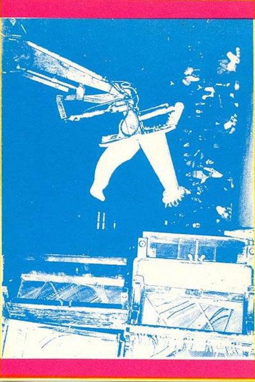 Illusions of Shameless Abundance 1989 official movie poster