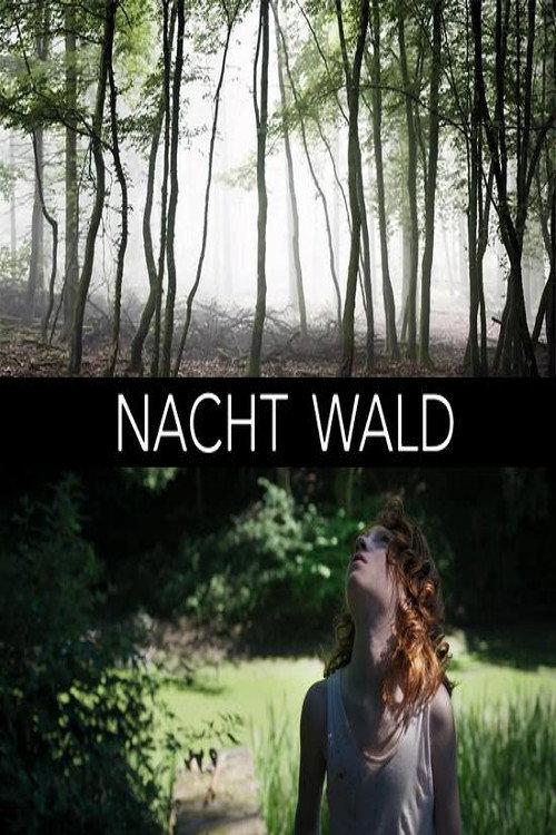Nacht Wald 2019 official movie poster