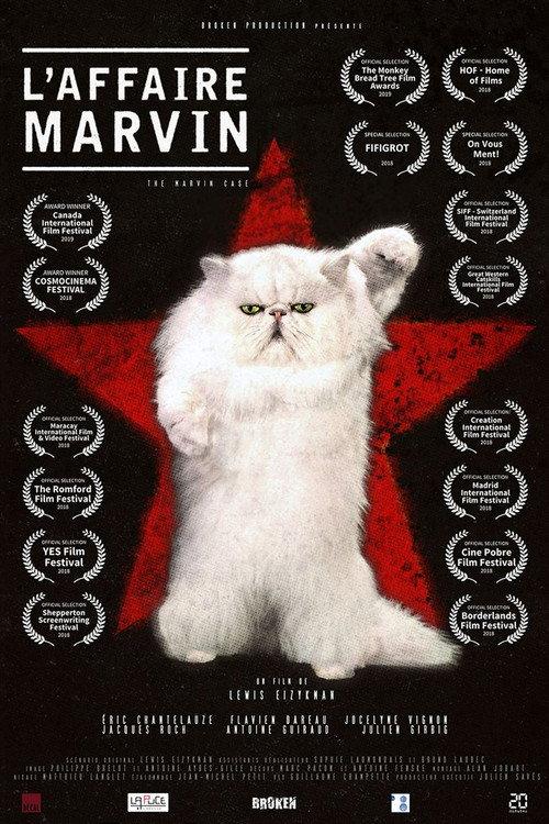 L'Affaire Marvin 2020 official movie poster