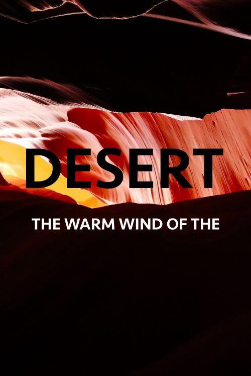 The Warm Wind Of The Desert 2020 official movie poster