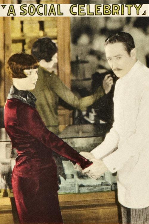 A Social Celebrity 1926 official movie poster