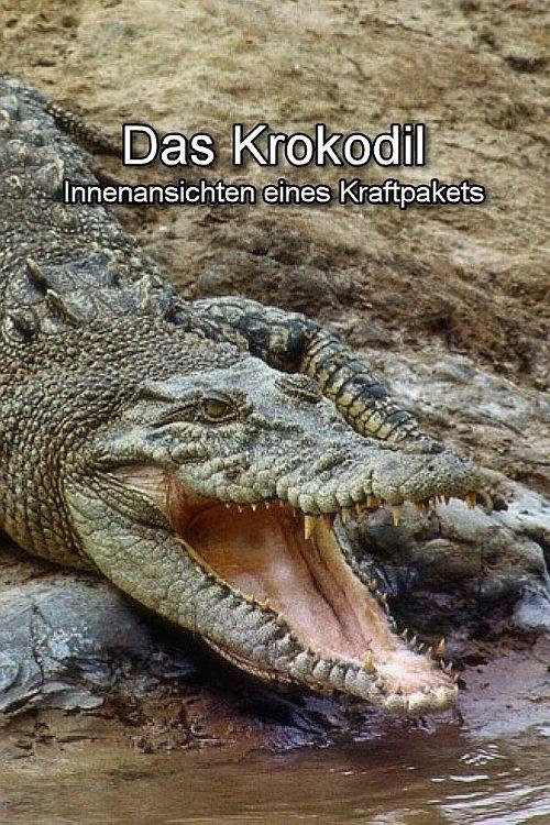 Das Krokodil - Innenansichten eines Kraftpakets 2017 official movie poster