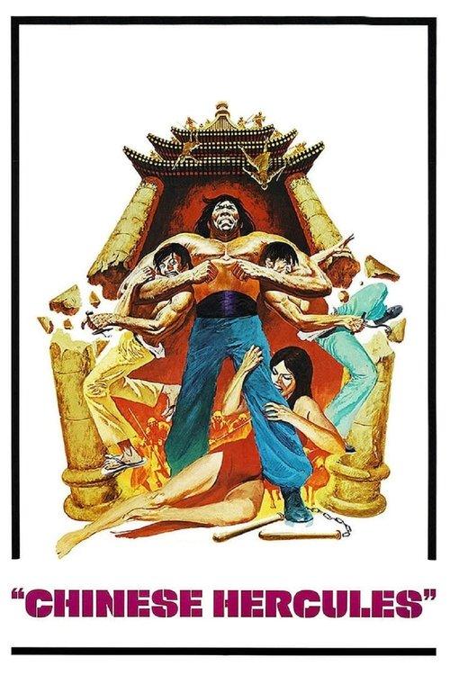 Freedom Strikes a Blow 1973 official movie poster