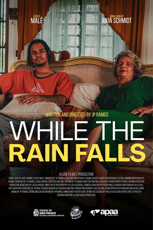 While the Rain Falls 2026 official movie poster