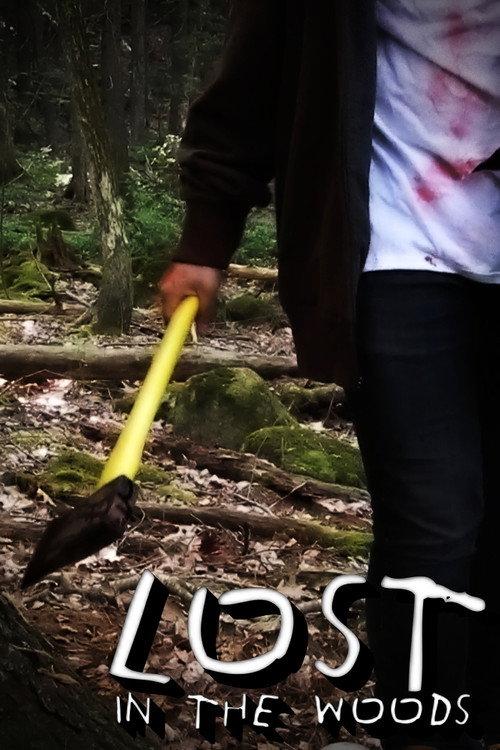 Lost In The Woods 2022 official movie poster