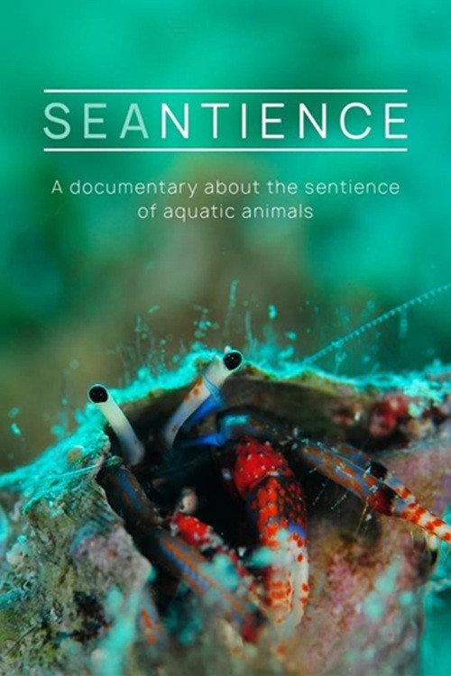 Seantience 2025 official movie poster