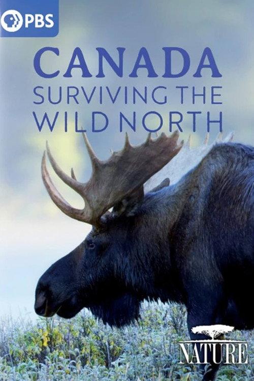 Canada: Surviving the Wild North 2022 official movie poster