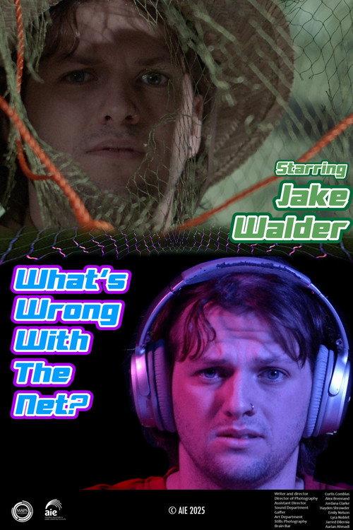 What's Wrong with the Net? 2025 official movie poster