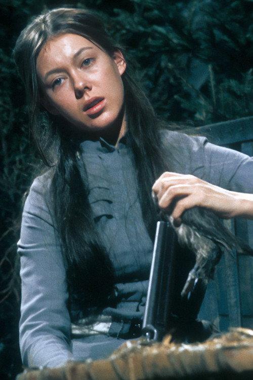 The Wild Duck 1971 official movie poster