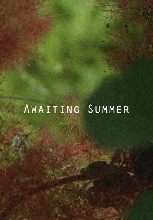 Awaiting Summer 2016 official movie poster