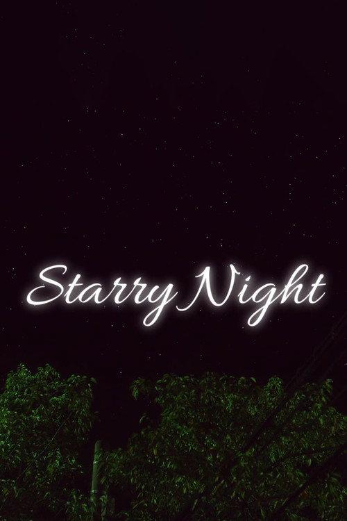 Starry Night 2013 official movie poster