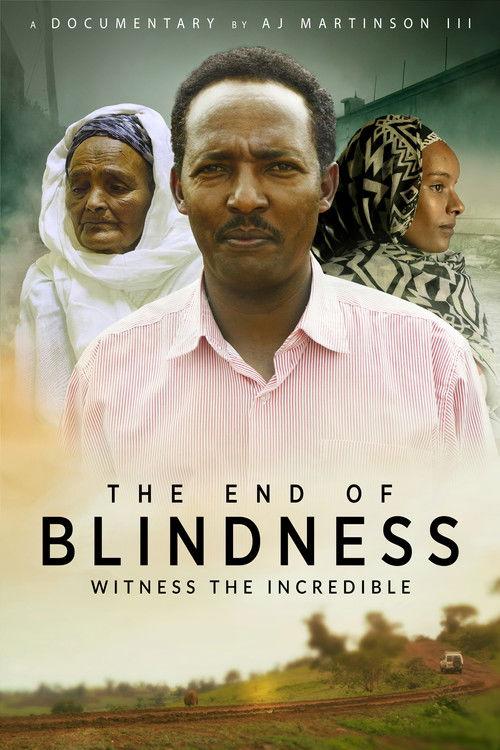 The End of Blindness 2021 official movie poster