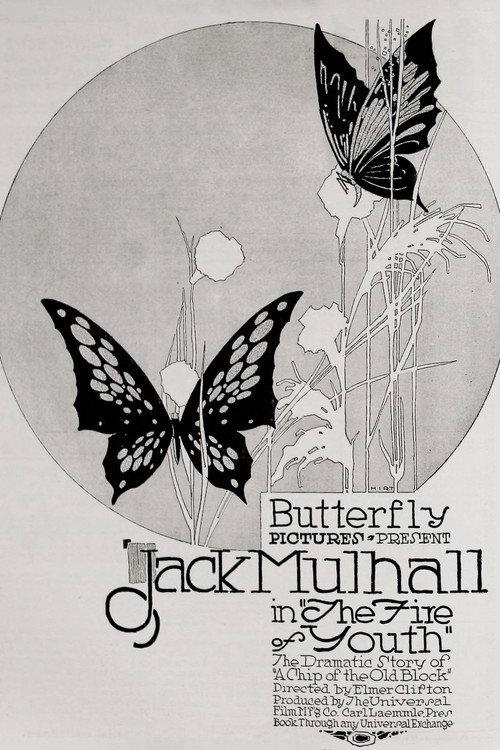 The Flame of Youth 1917 official movie poster