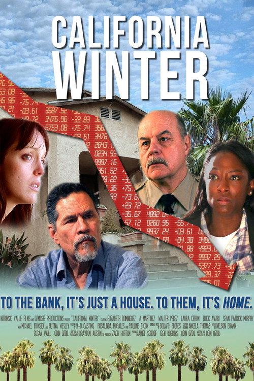 California Winter 2015 official movie poster