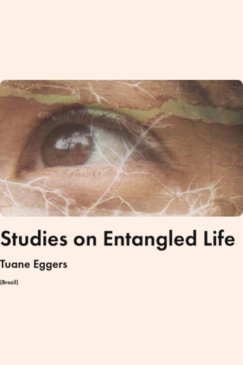 Studies on Entangled Life 2025 official movie poster