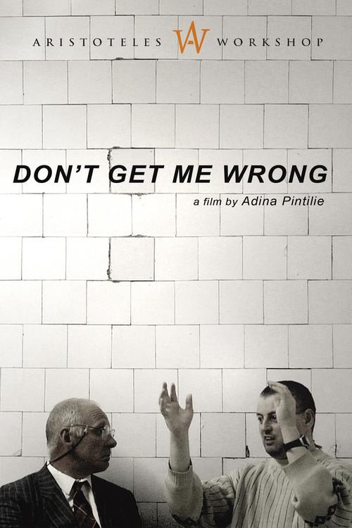 Don't Get Me Wrong 2007 official movie poster
