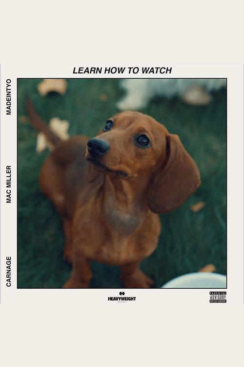 Learn How to Watch 2018 official movie poster