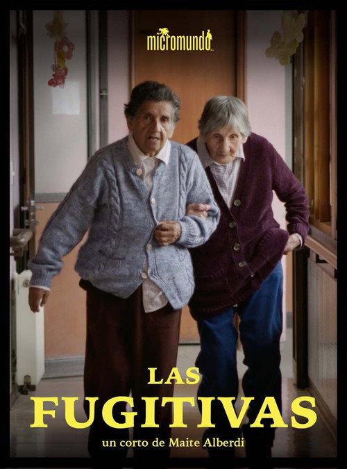The Fugitives 2021 official movie poster