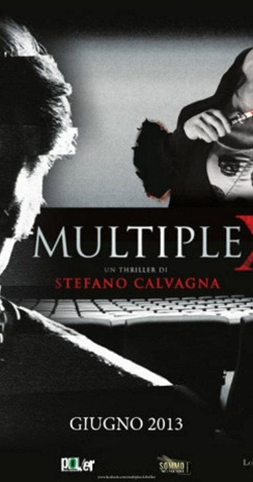 MultipleX 2013 official movie poster
