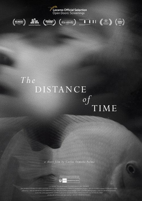 The Distance of Time 2021 official movie poster