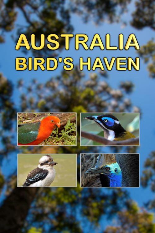 Australia, Bird's Haven 2014 official movie poster
