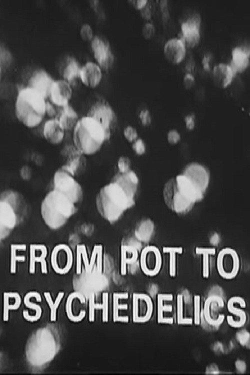 From Pot To Psychedelics 1968 official movie poster