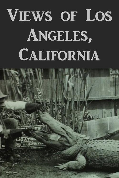 Views of Los Angeles, California 1912 official movie poster