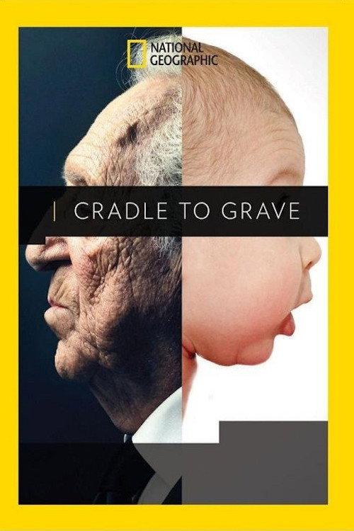 Cradle to Grave 2017 official movie poster