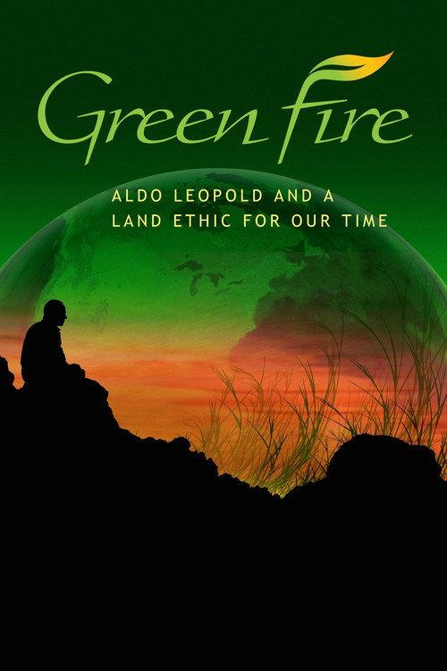 Green Fire 2011 official movie poster