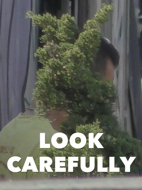 Look Carefully  official movie poster