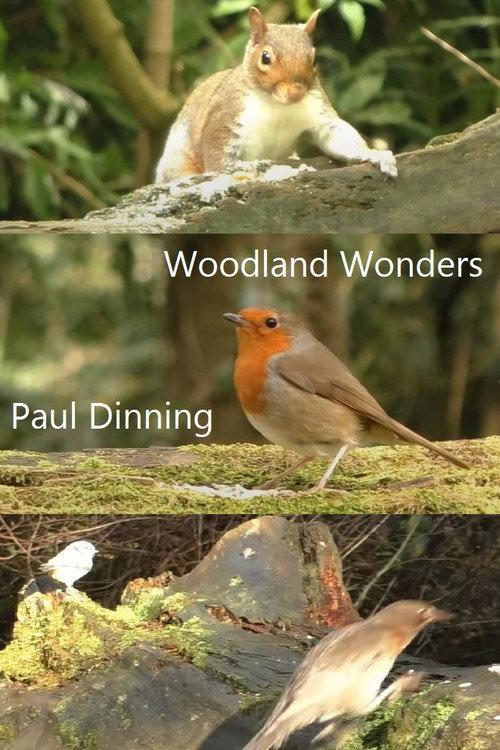 Woodland Wonders 2023 official movie poster