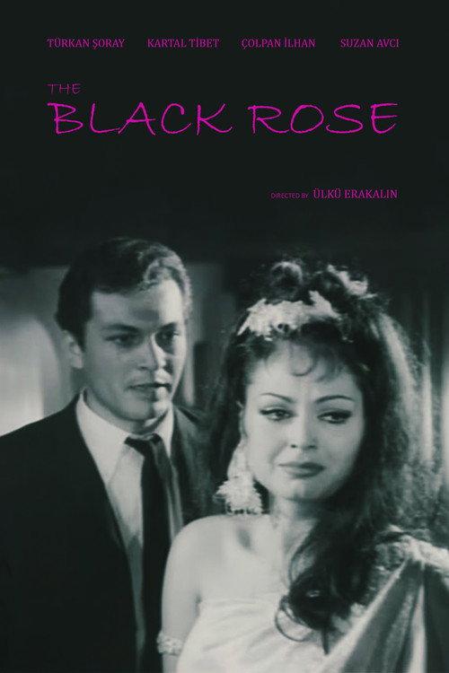 Black Rose 1966 official movie poster