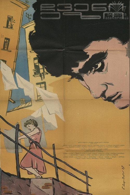 In Our Courtyard 1956 official movie poster