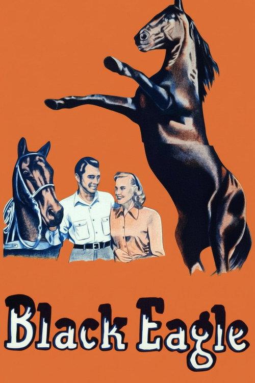 Black Eagle 1948 official movie poster