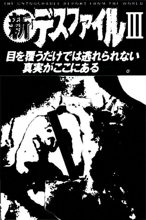 New Death File 3 1993 official movie poster